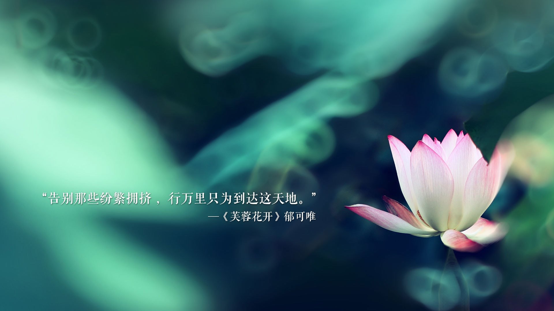 西班牙主帅：为球员表现感到骄傲，西班牙 主帅