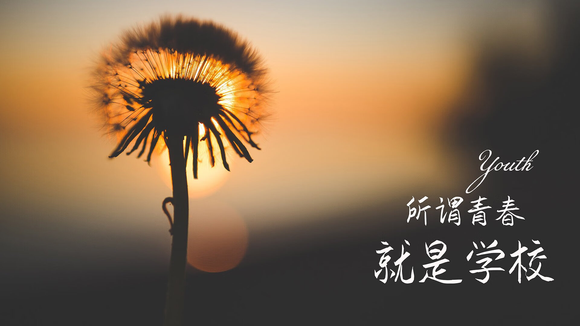 中小学体育课程内容优化及创新实践探索，中小学生体育教育探索与创新