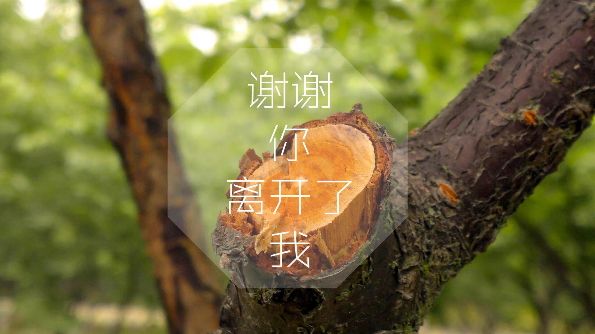 全国青少年沙滩排球锦标赛在海南热力开赛，青春燃烧海边，全国沙滩排球比赛