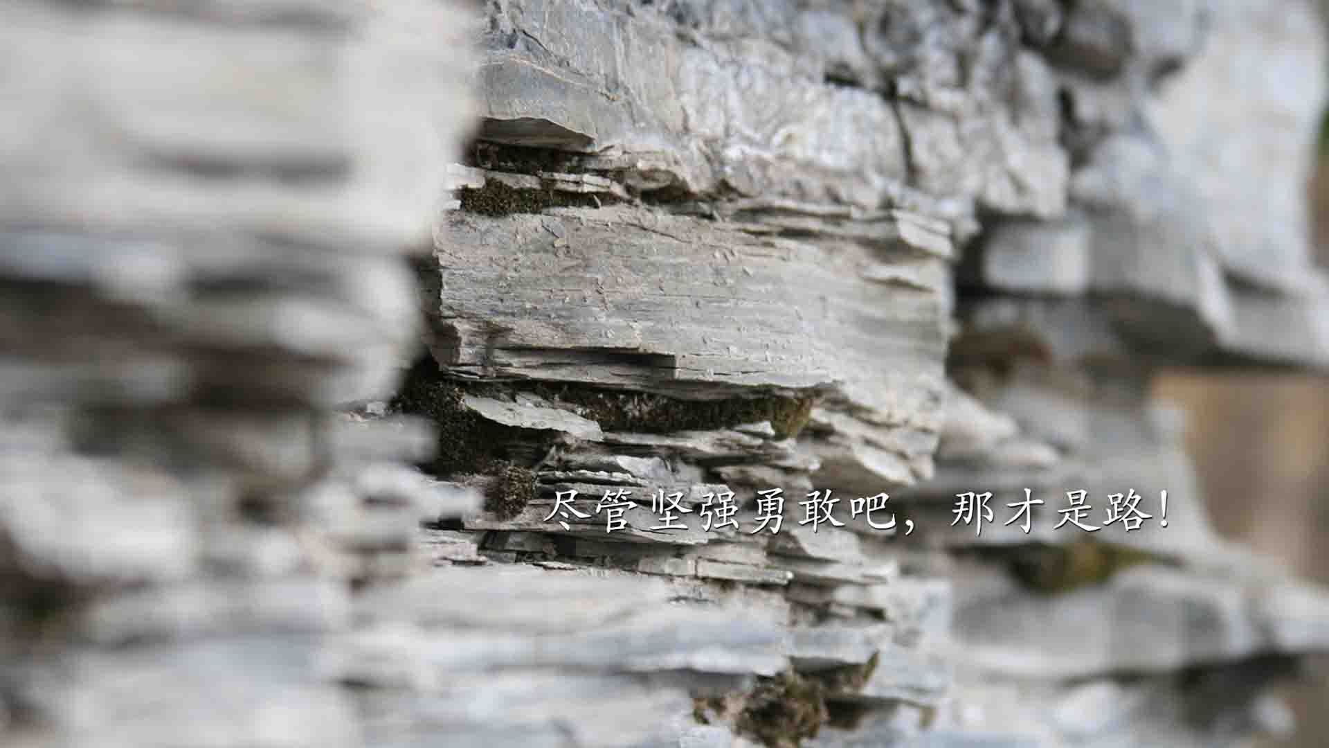 体育新闻中心构建体育赛事版权数字管理体系，体育赛事的著作权保护问题探析