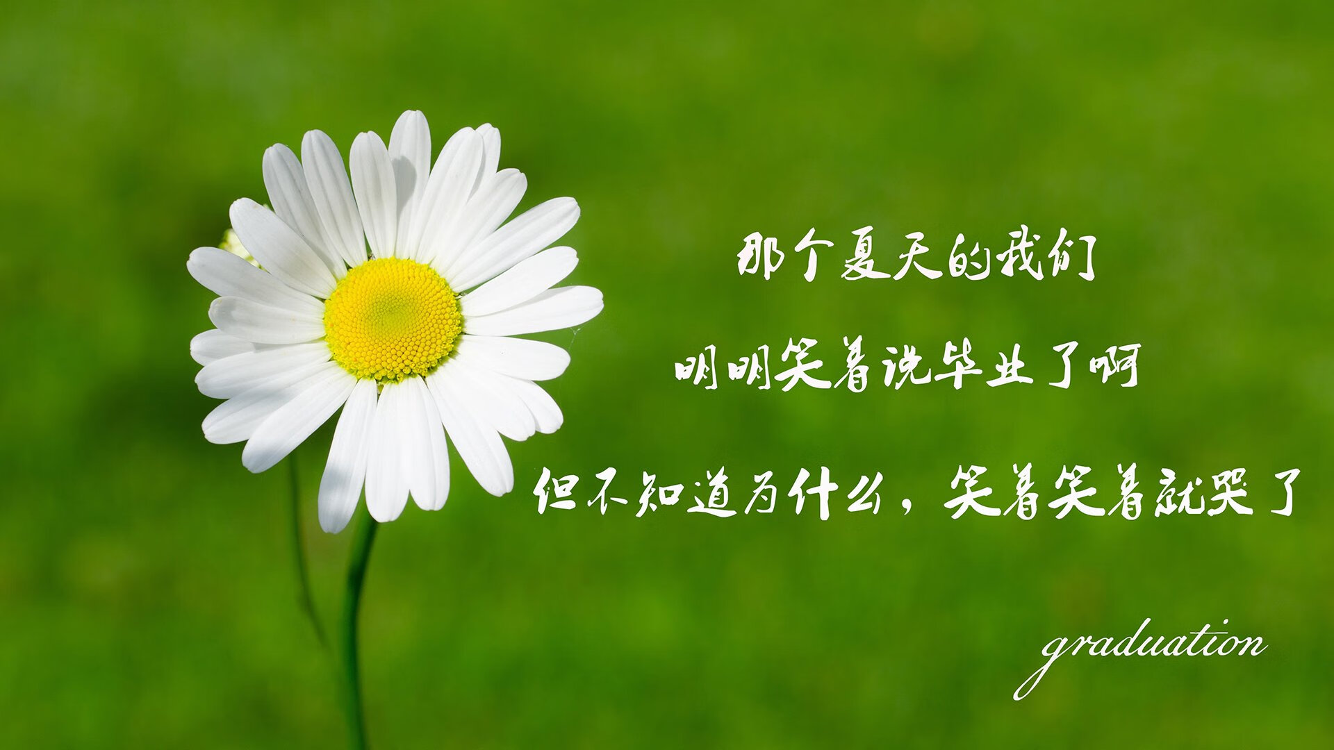 爱游戏体育app-自由泳接力强势摘金，自由泳接力全程