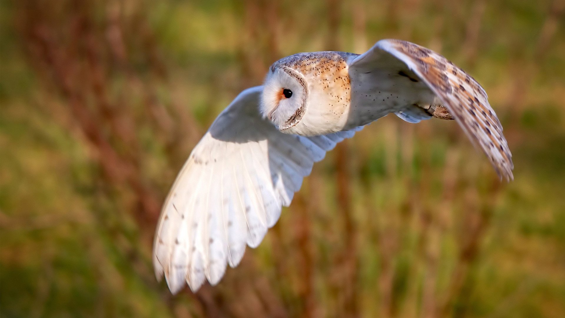 俱乐部引入新管理系统提升后勤保障和训练安排智能化水平,俱乐部运行具体方案