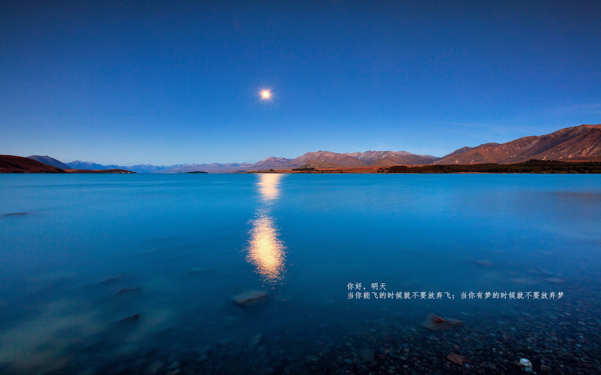 国际青年足球锦标赛全面开战，未来之星纷纷亮相，国际足联世界青年足球锦标赛