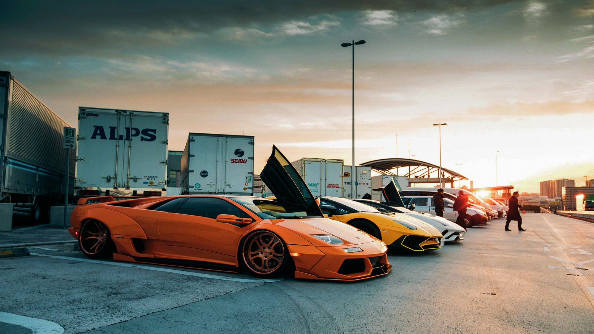 女子篮球训练注重防守协作提升防守水平,女子篮球防守视频