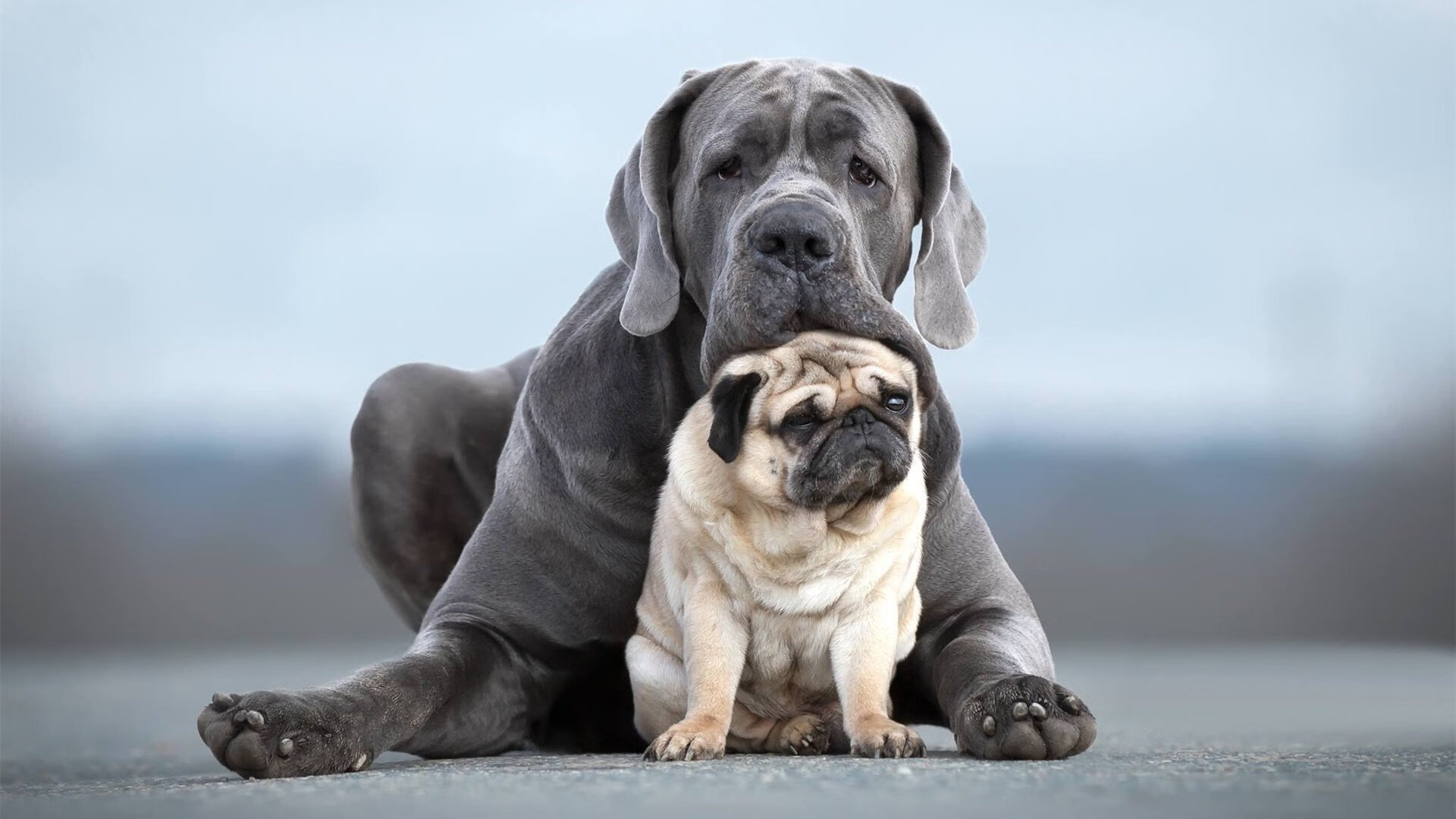 校园足球竞赛与升学挂钩形成长效激励机制，学生足球联赛