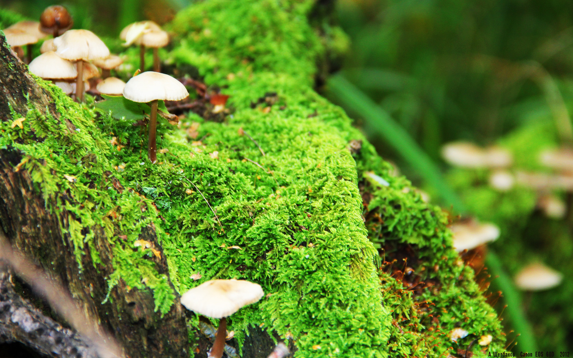 爱游戏体育-青少年梯队赴外集训全员接受高水平系统化训练计划提升实力,青少年集中训练营