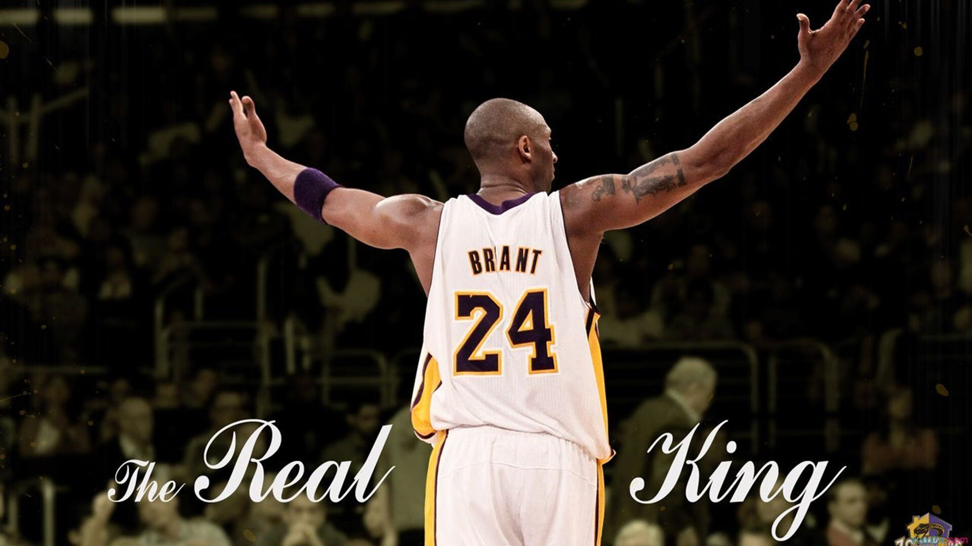 墨西哥马术协会授予马尔科·阿尔瓦雷斯“年度最佳马匹护理员”称号。